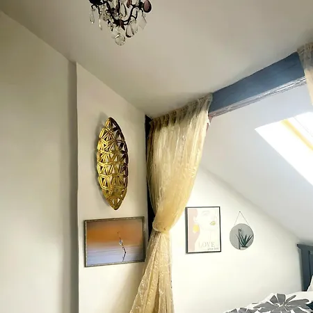 Cozy Loft Near Old Center *