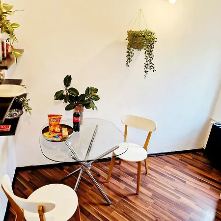 Apartment Cozy Loft Near Old Center